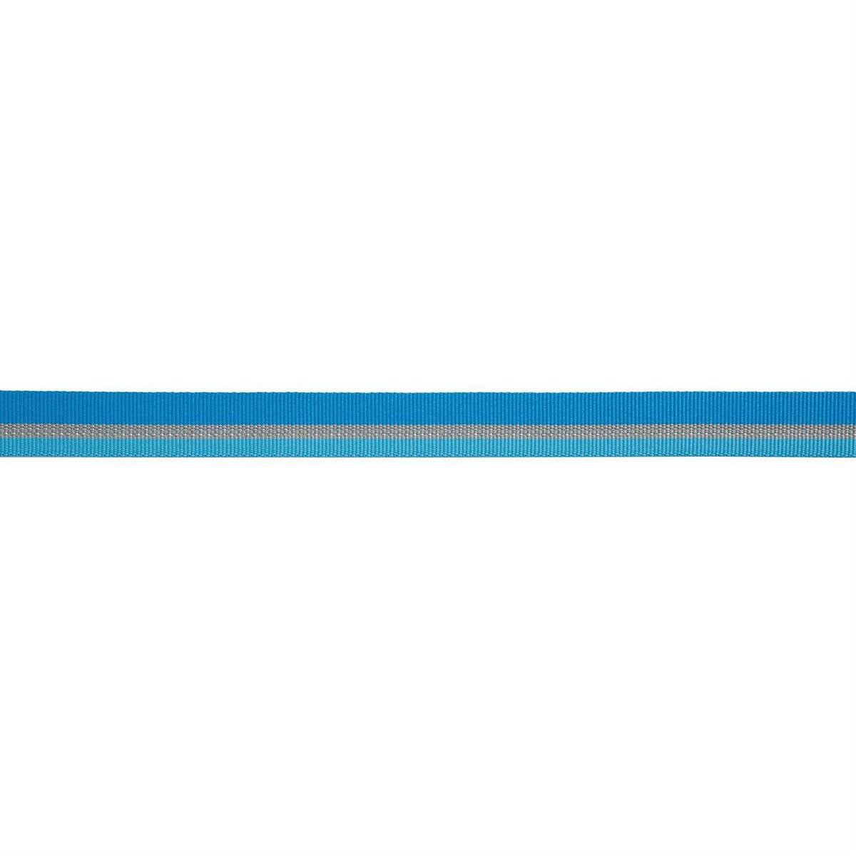 Dog Collar J13799