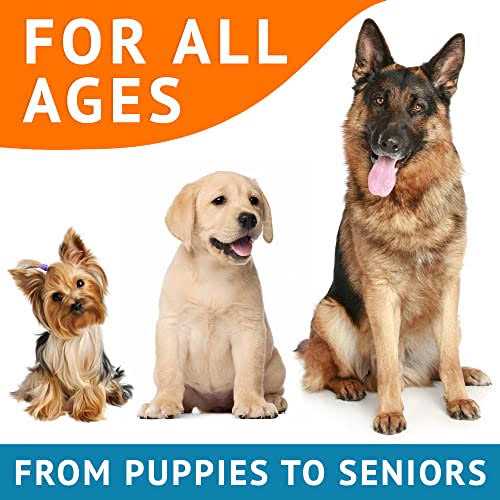 Omega 3 Fish Oil Dog Treats N768