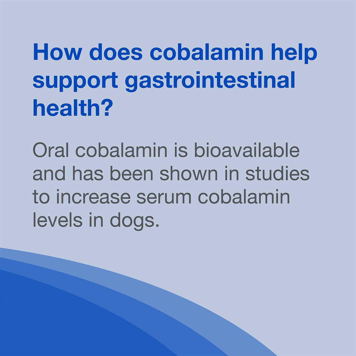 B12 Supplement Dogs A730