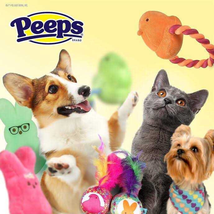 Chick Plush Dog Toy G425