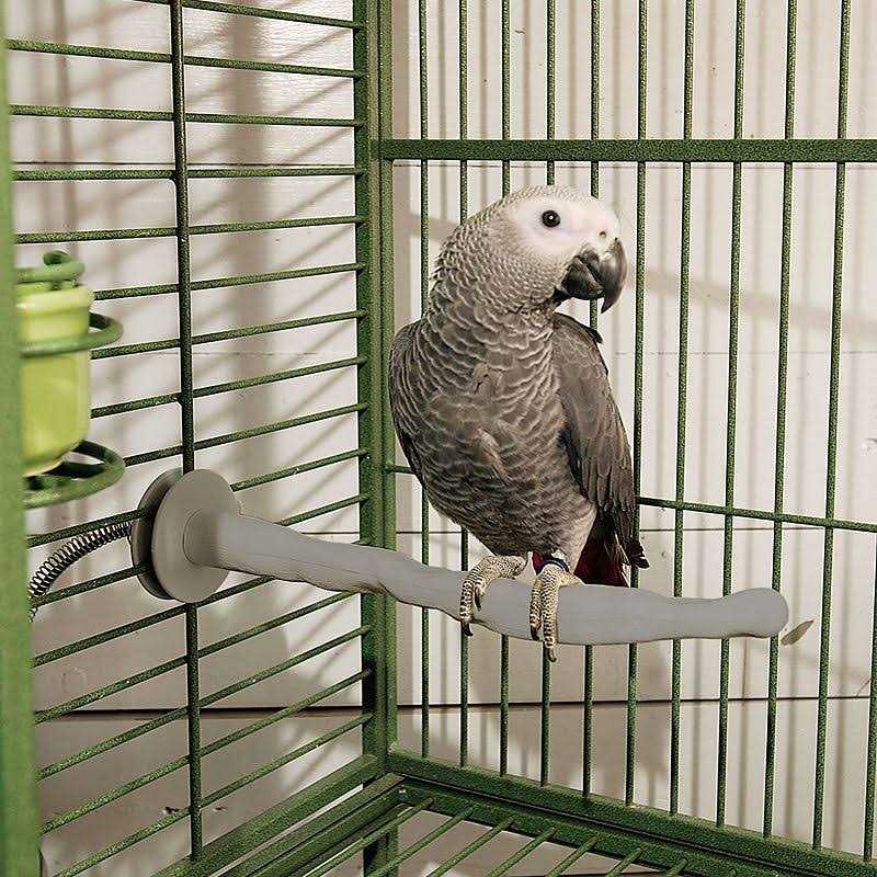 Bird Thermo-Perch P550849