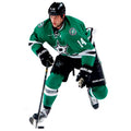 NHL Dallas Stars Wall Decal W20271