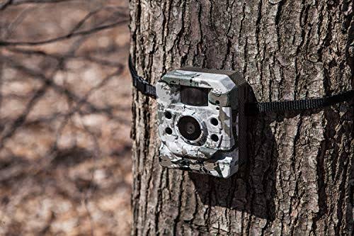 Black Trail Camera C656370