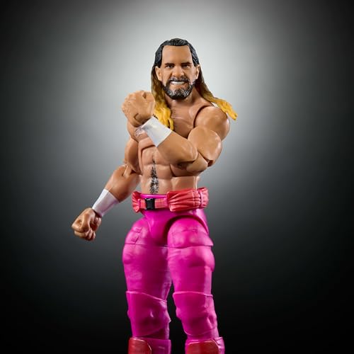 WWE Elite Collection Action Figure & Accessories S836