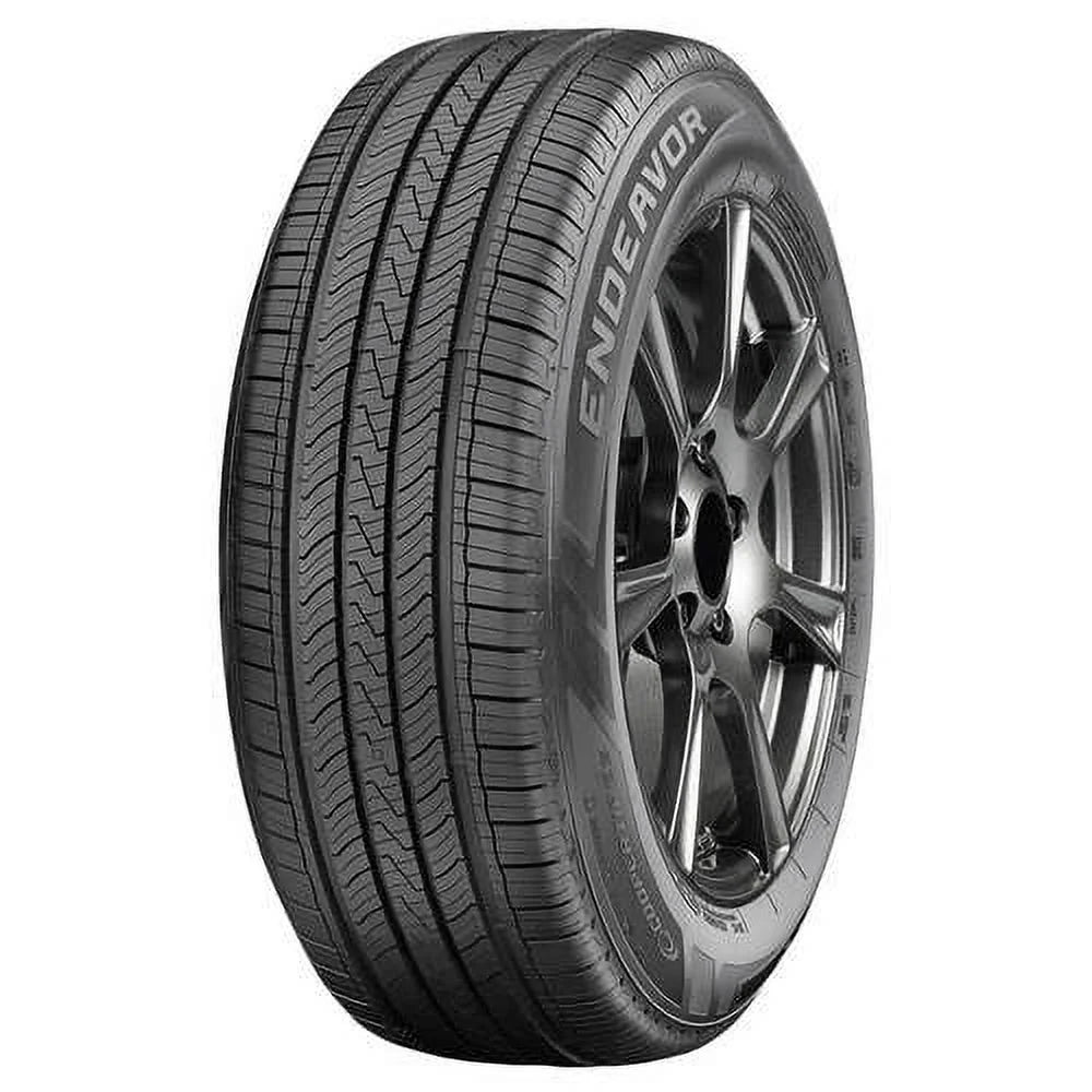All Season 225/60R16 98H Passenger Tire M691