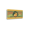 40 x 16 Golden Pears Gallery Wrap Canvas Art Y804