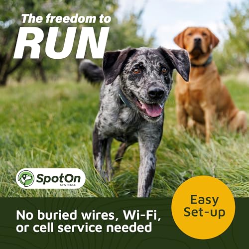 GPS Dog Fence Collar D705554