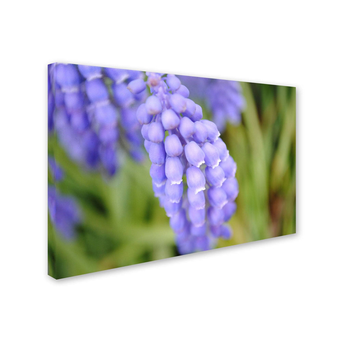 Canvas Art J3864