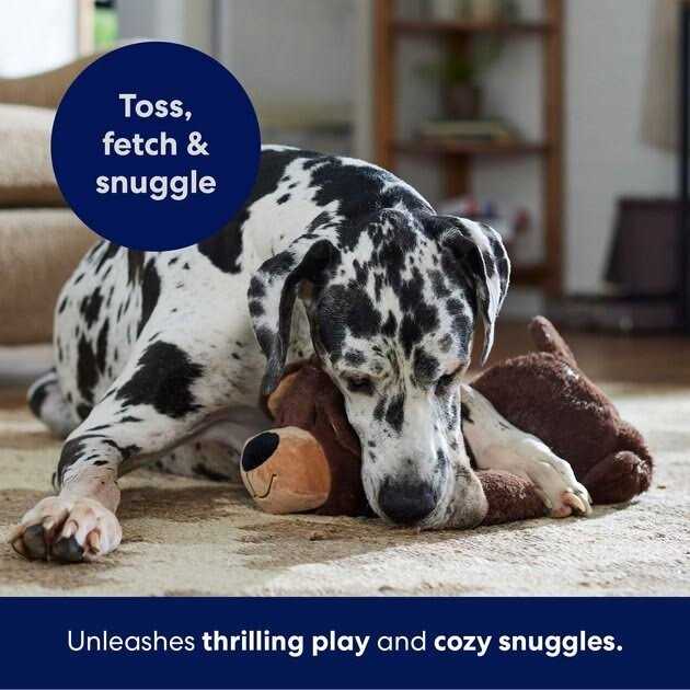 Plush Squeaky Dog Toy G23579