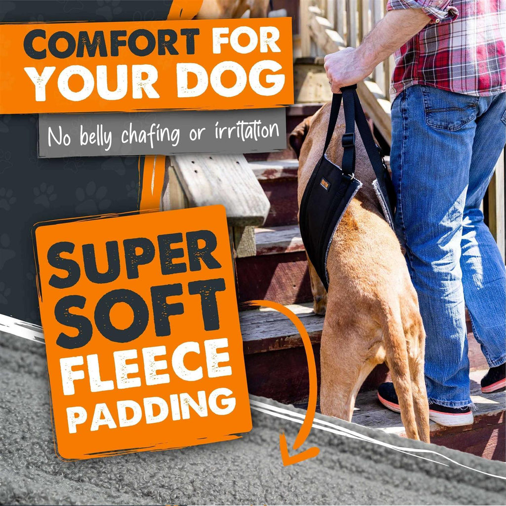 Dog Lift Harness H12406