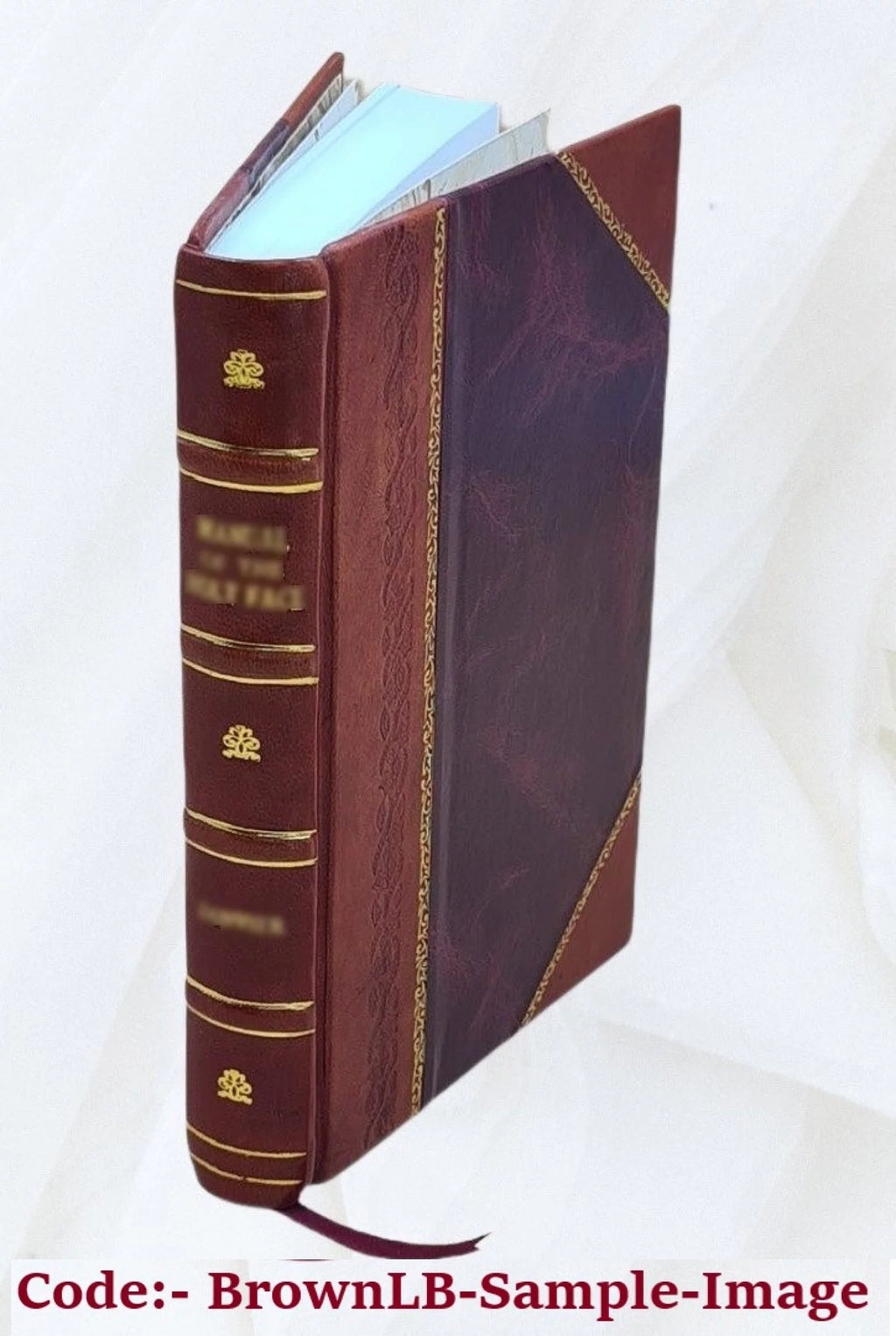 Hamburger Bildnisse Leather Bound M1568