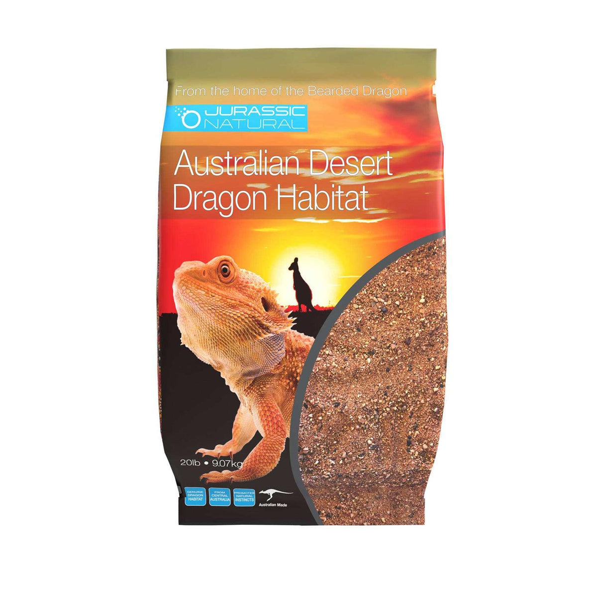 Natural Australian Desert Dragon Habitat Z67323