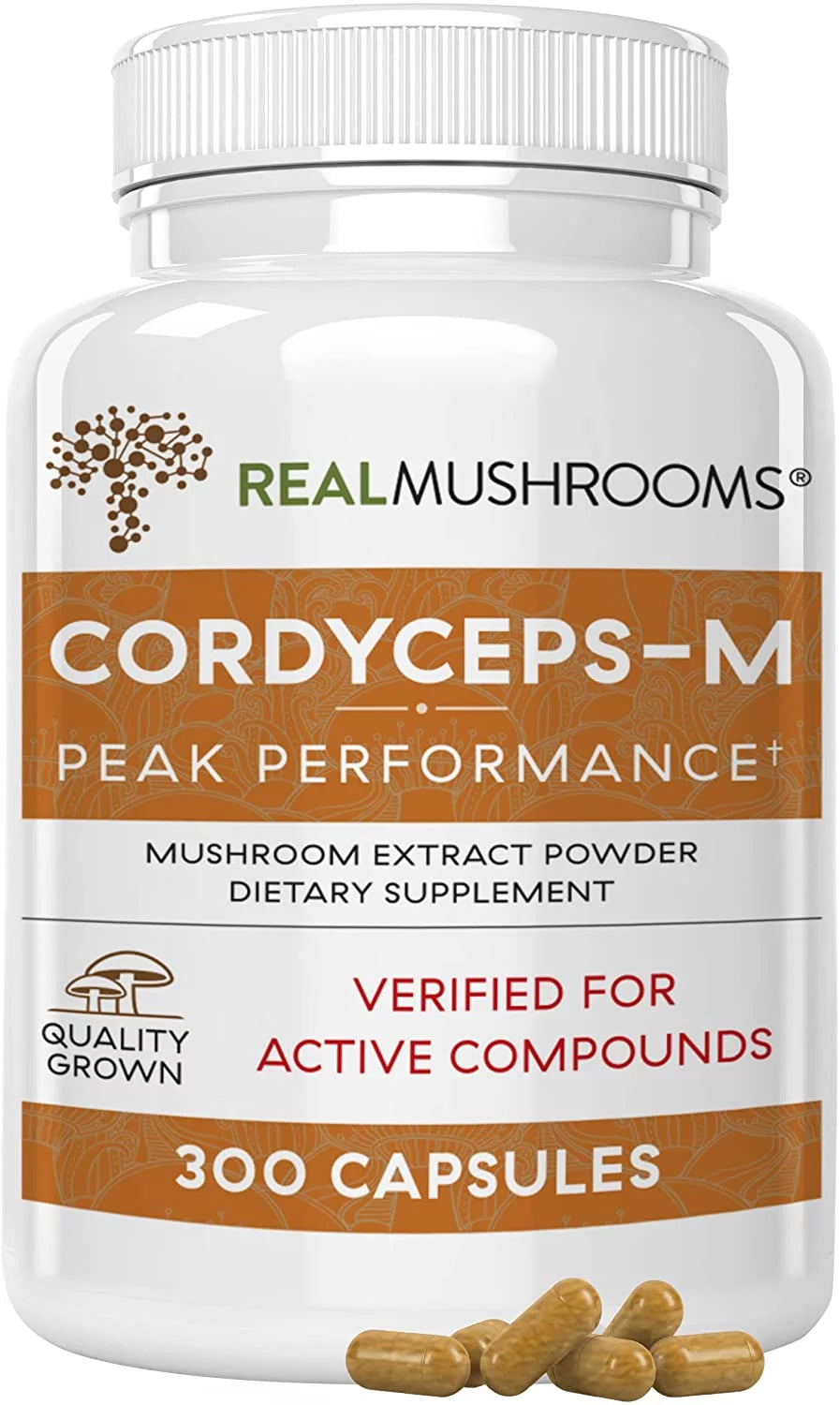 Cordyceps Supplement Y35151