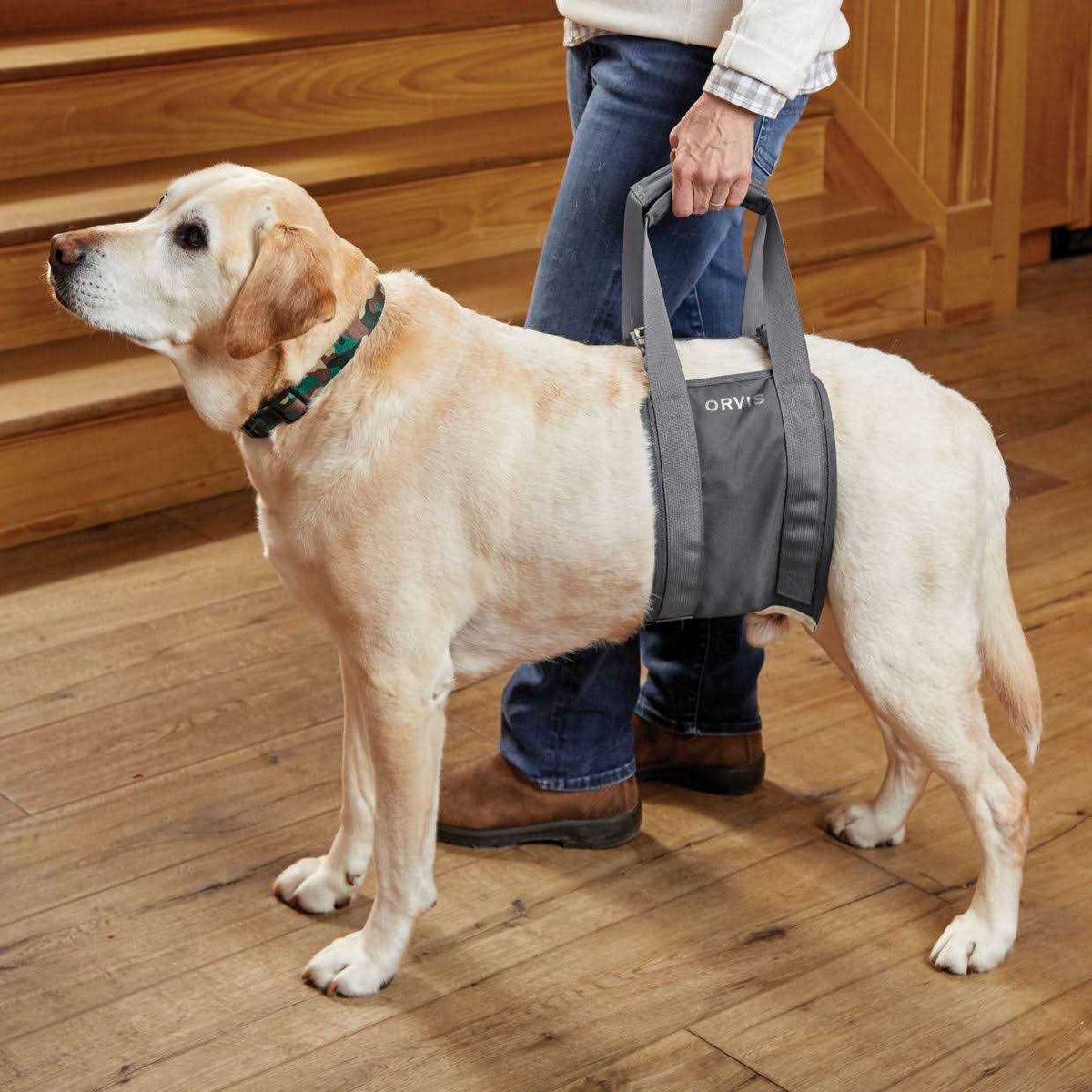 Gray Rear Dog Lift R21057