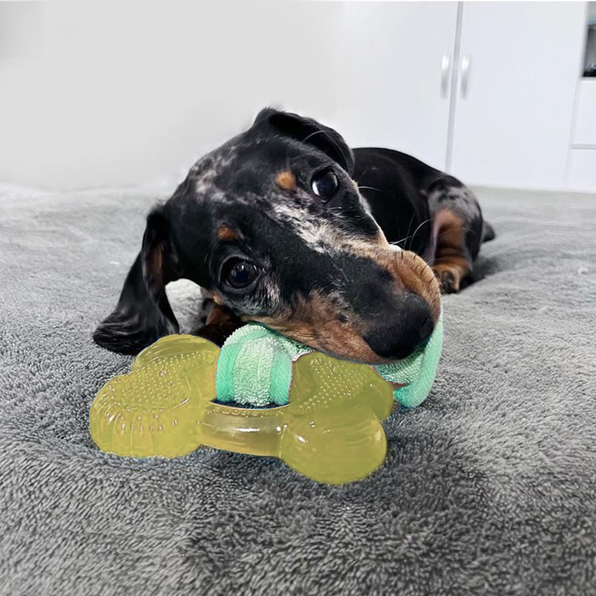 Bacon Small/Regular Dog Bone Toy A22862