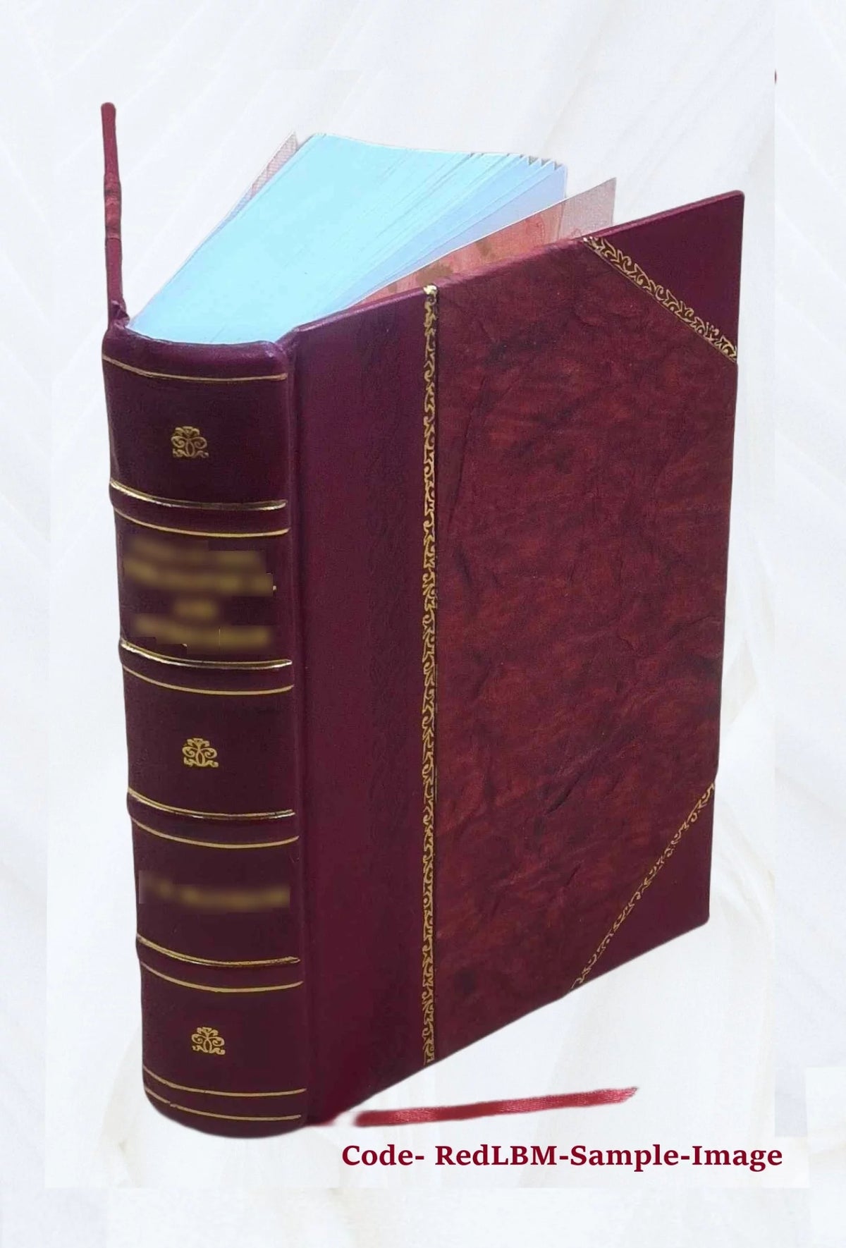 Leather Bound Book W624379
