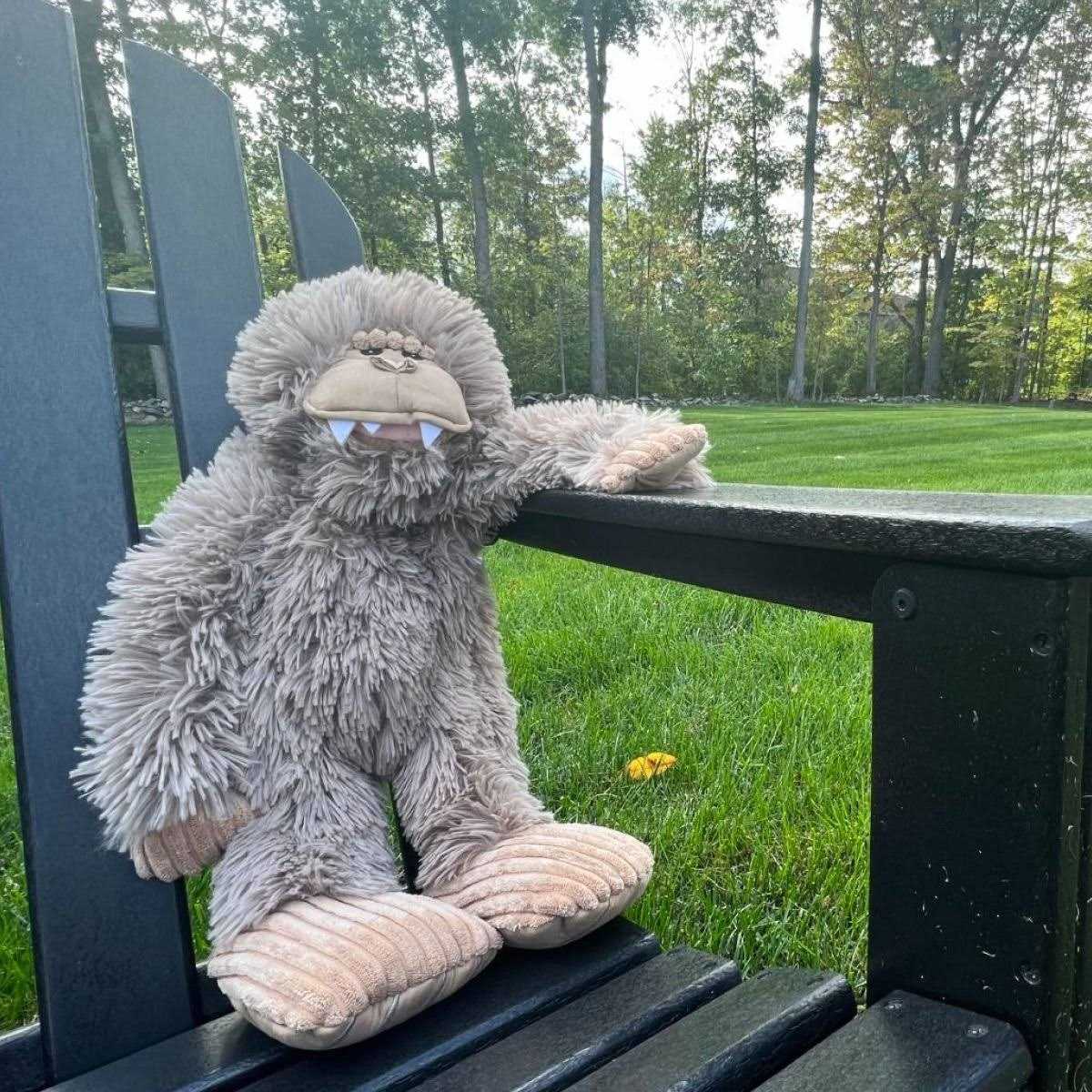 Dog Toy W56972