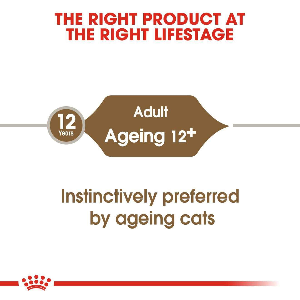 Aging 12+ Thin Slices in Gravy Canned Cat Food L531