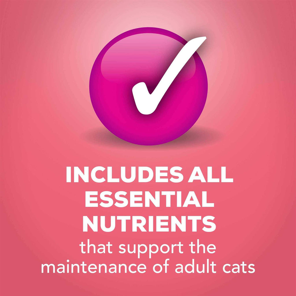 Wet Cat Food B151