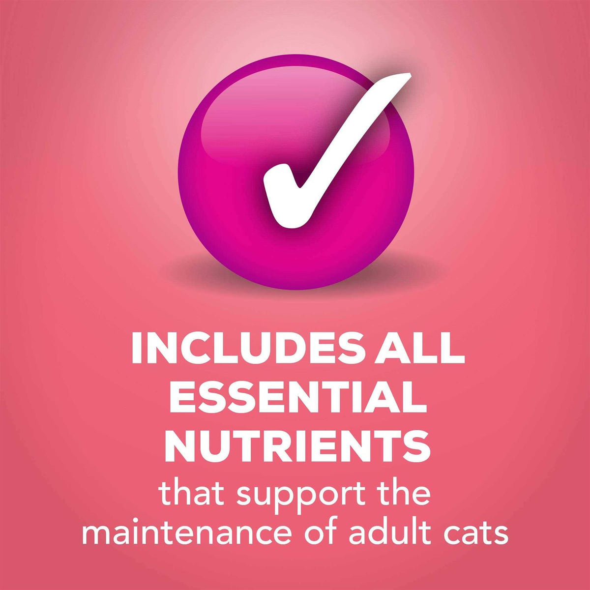 Wet Cat Food B151