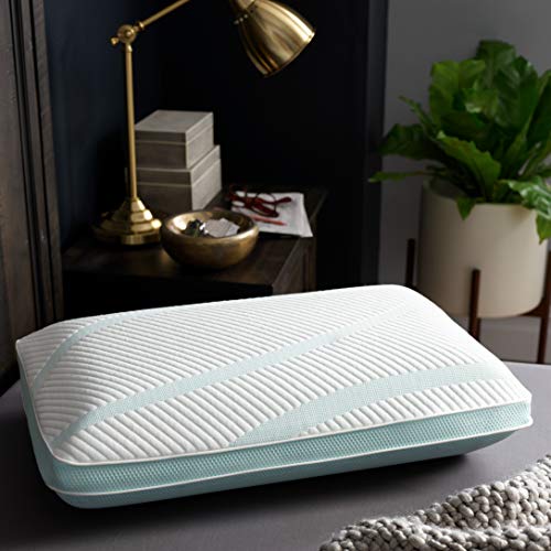 Queen White Memory Foam Pillow X291