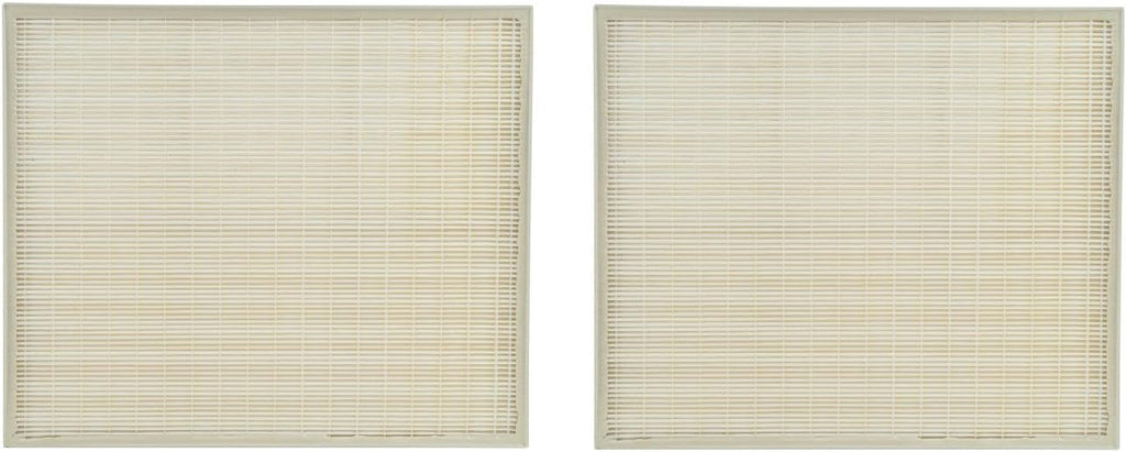 2 Packs True HEPA Carbon Pre Filter Set M752420