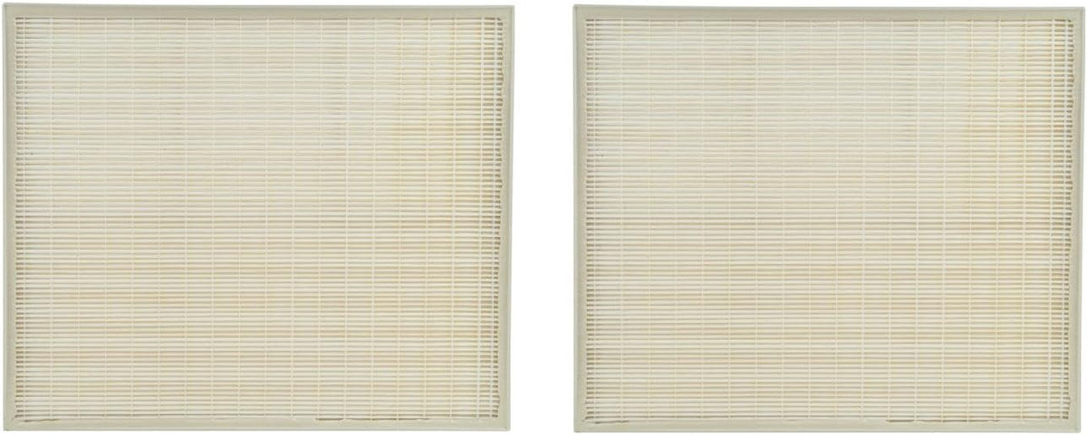2 Packs True HEPA Carbon Pre Filter Set M752420
