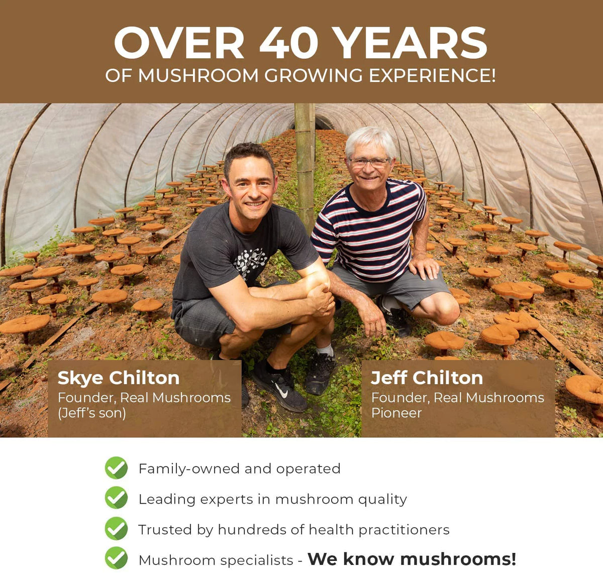 Cordyceps Supplement Y35151