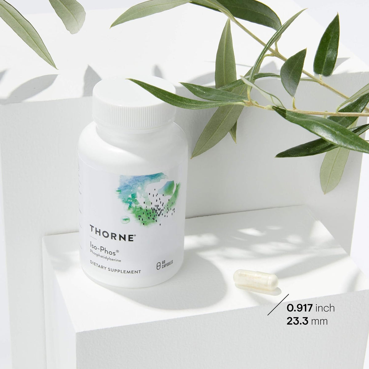 Phosphatidylserine Supplement 60 Capsules F95985