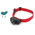 Extra Collar Strap L493