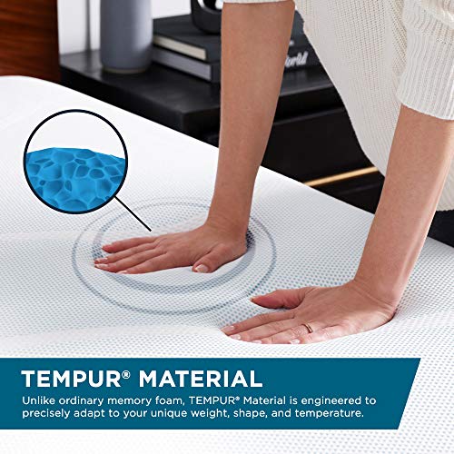 Queen White Memory Foam Pillow X291