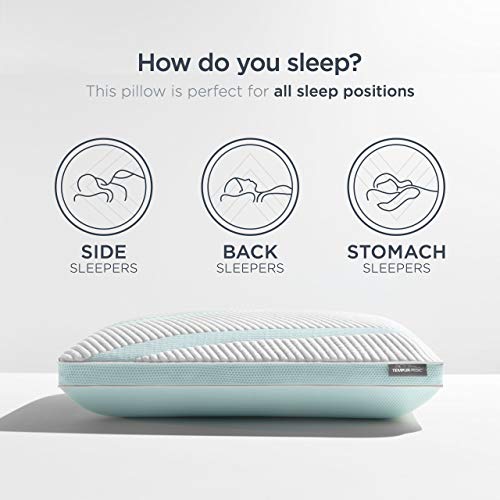 Queen White Memory Foam Pillow X291