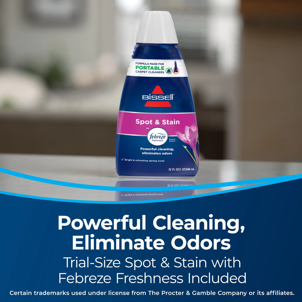 Portable Spot and Stain Cleaner X246198