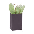 Plum Paper Shopping Bags Case of 100 G5254