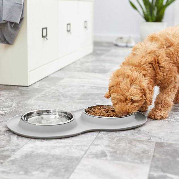 Double Stainless Steel Pet Bowl with Silicone Mat W4766