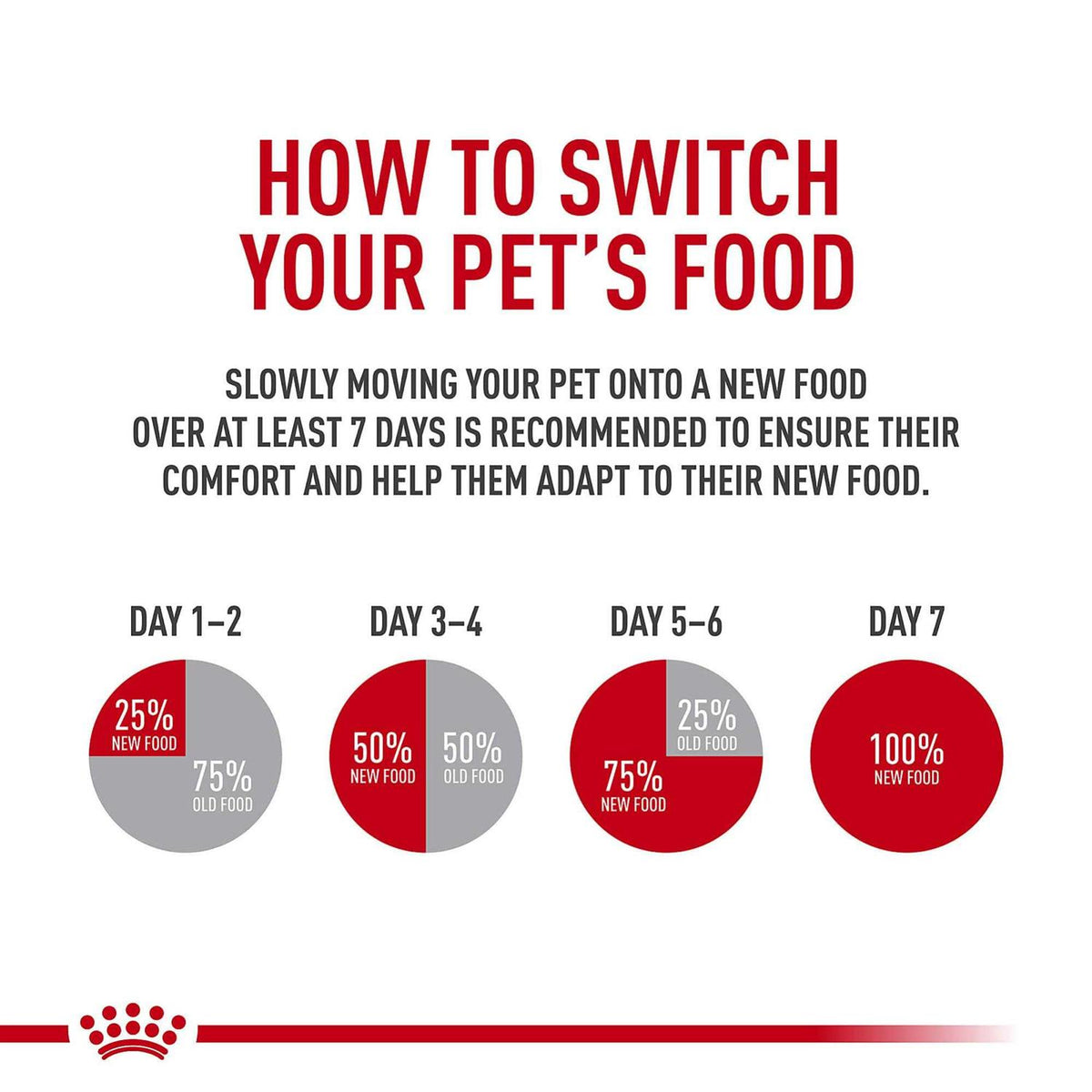 Adult Maltese Dry Dog Food Z961065