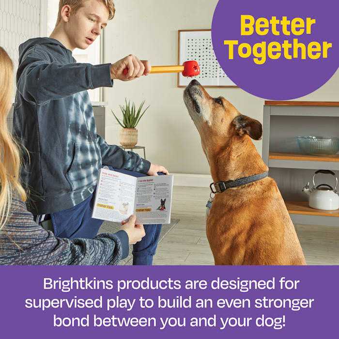Pet Training Set U108997