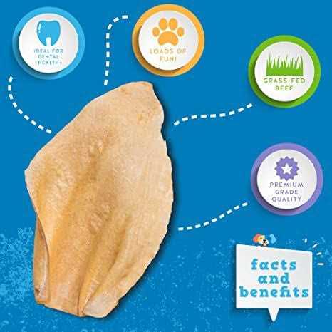 Cow Ears R70405