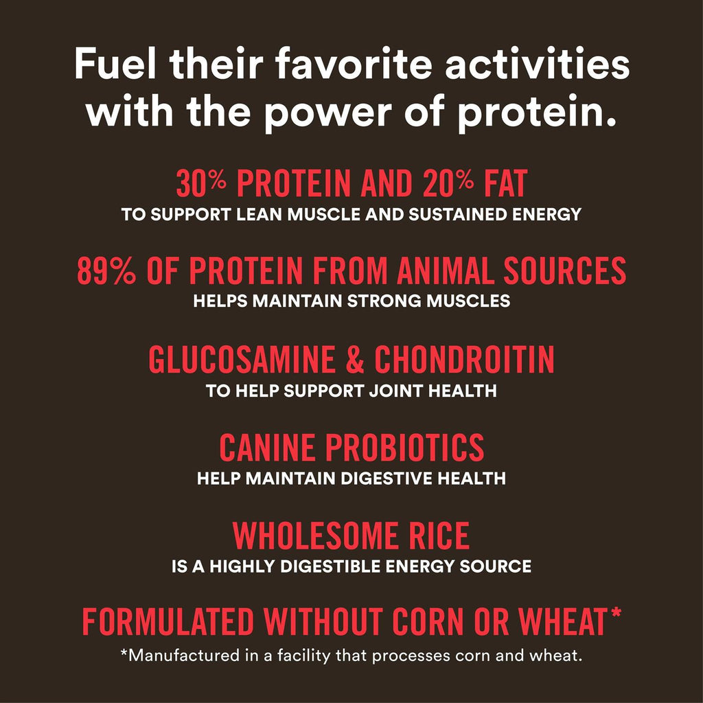 High-Protein Beef & Rice Recipe Dry Dog Food G784