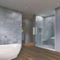 Chrome Frameless Hinged Shower Door L134
