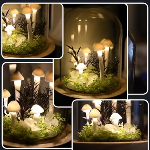 DIY Mushroom Lamp Kit with Glass Dome M300