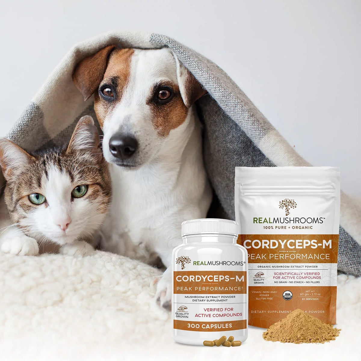 Cordyceps Supplement Y35151