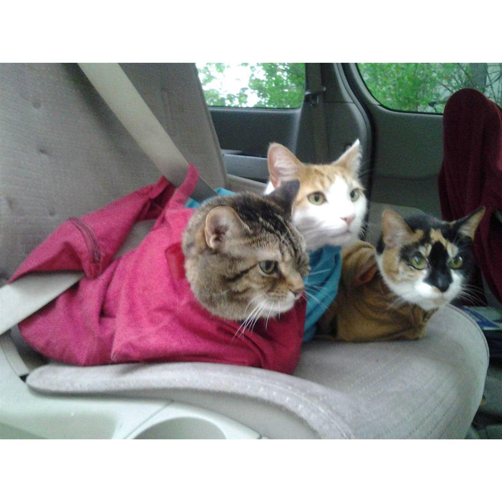 Cozy Comfort Carrier V167