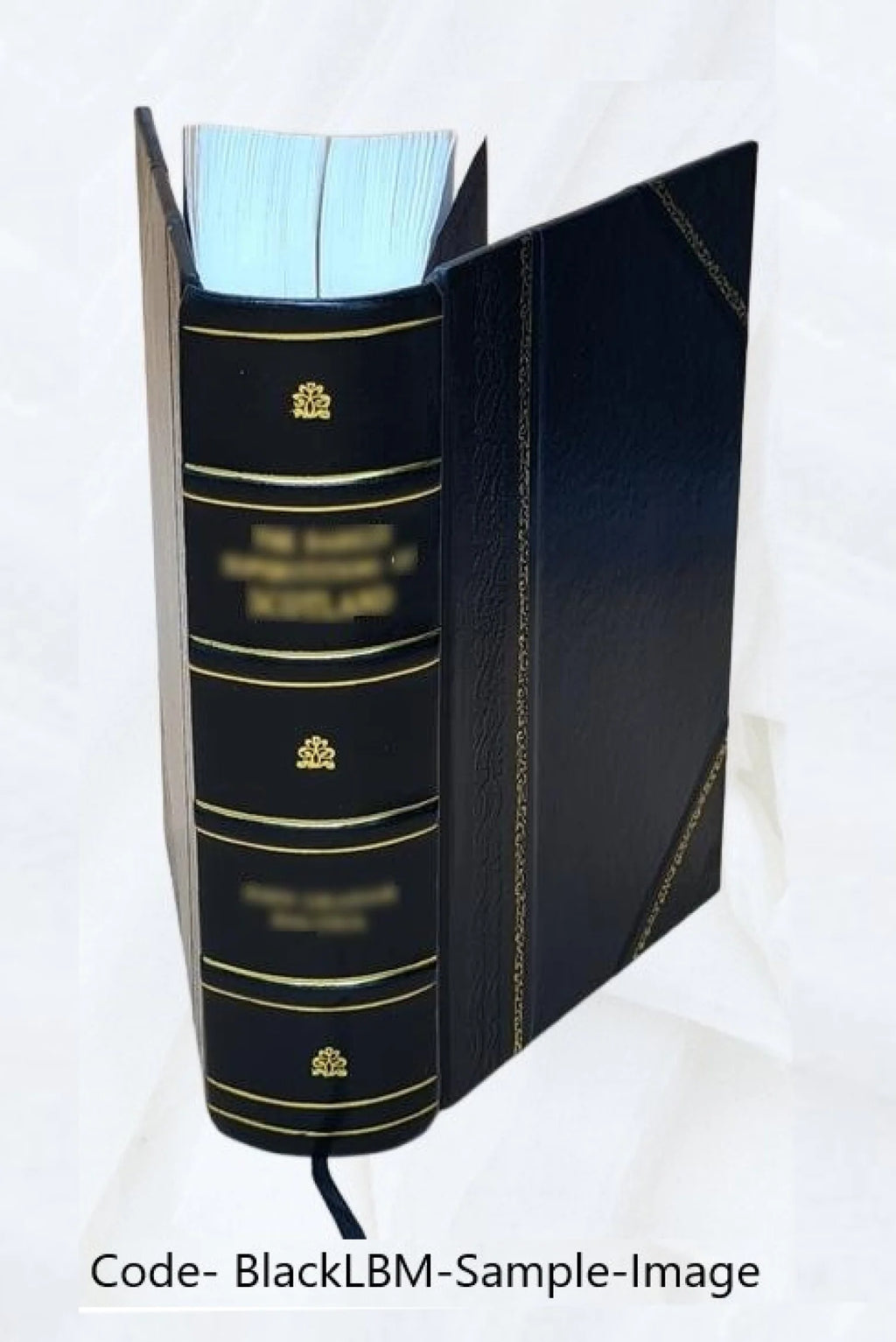 Leather Bound Poetry Book K306