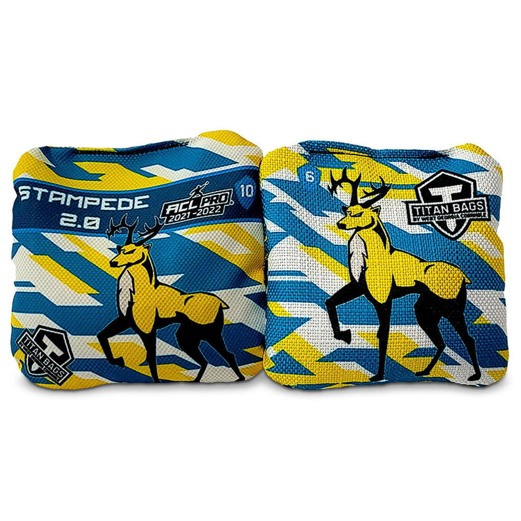 Cornhole Bags Set of 4 E402103