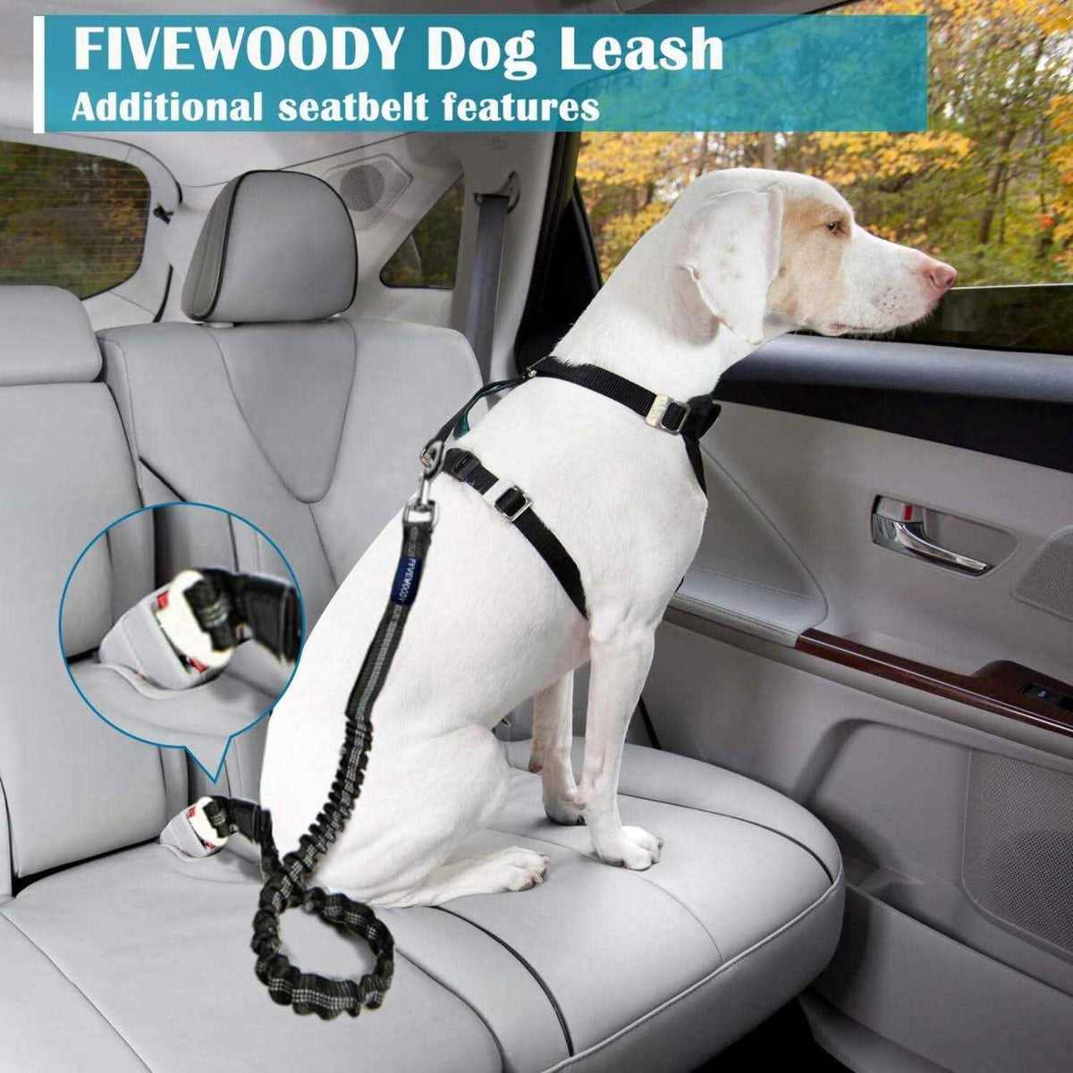 Dog Leash Bungee P71297
