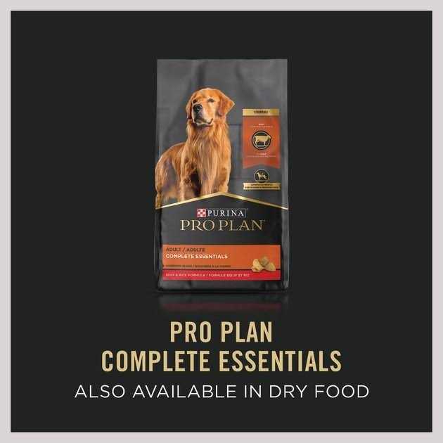 Beef & Rice Wet Dog Food A741802