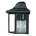 Matte Black 1-Light Outdoor Wall Mount Light Fixture N595