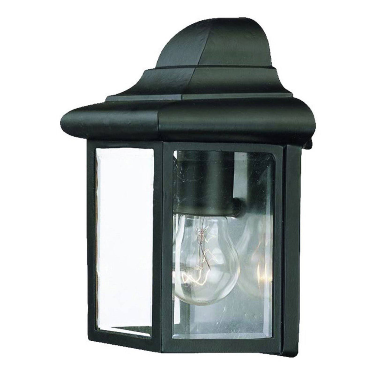 Matte Black 1-Light Outdoor Wall Mount Light Fixture N595