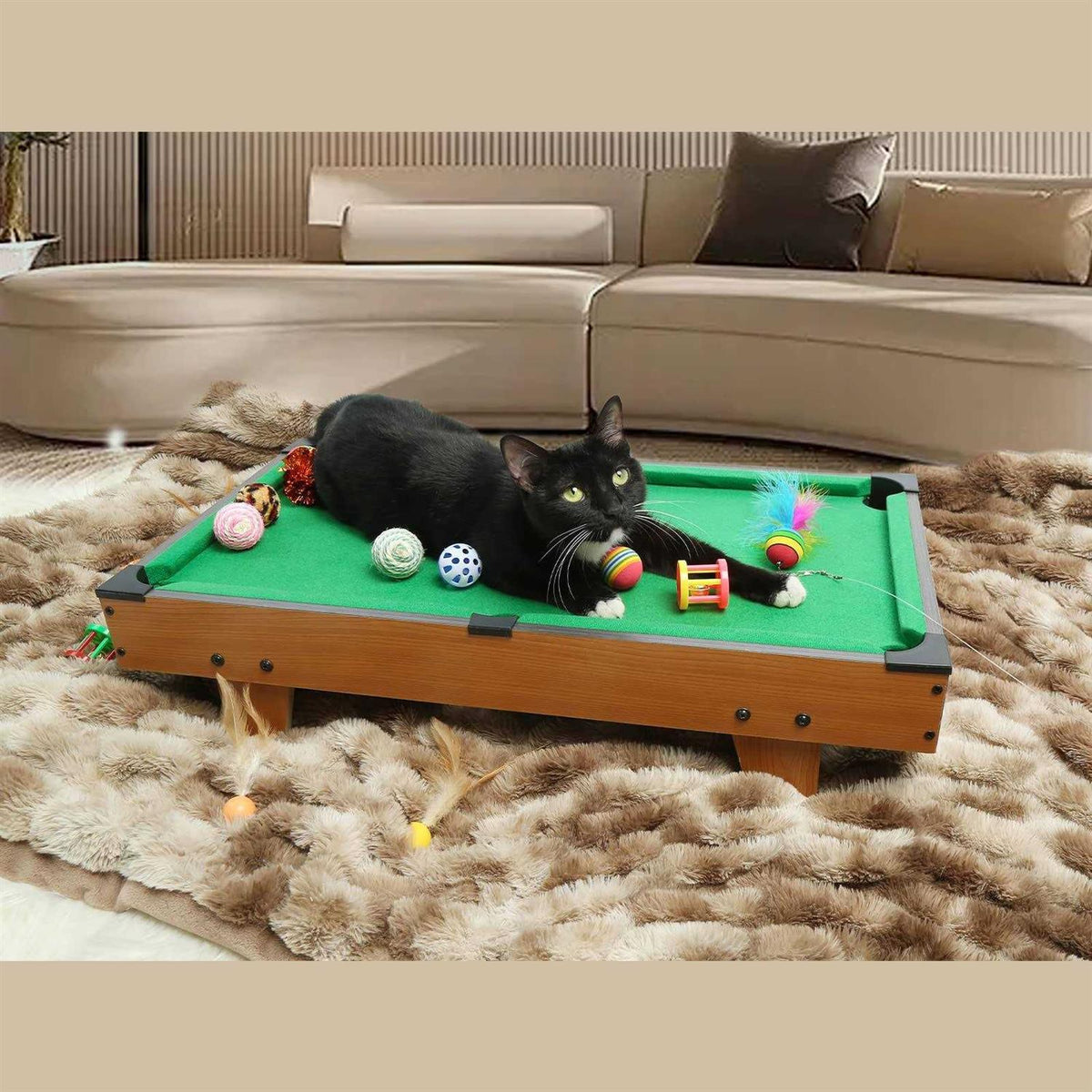 Mini Pool Table for Cat with Feather Teaser I355